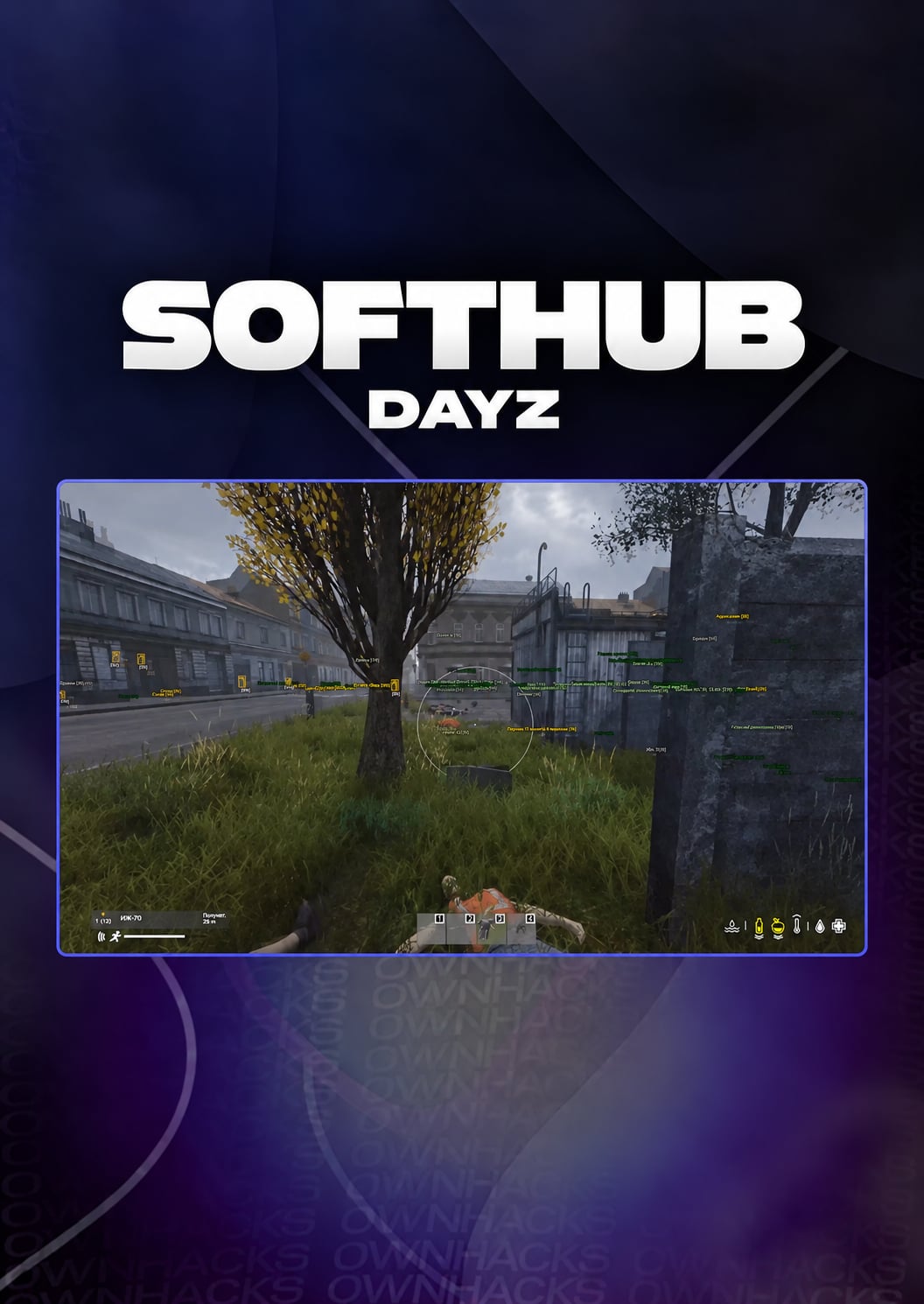 SoftHub
