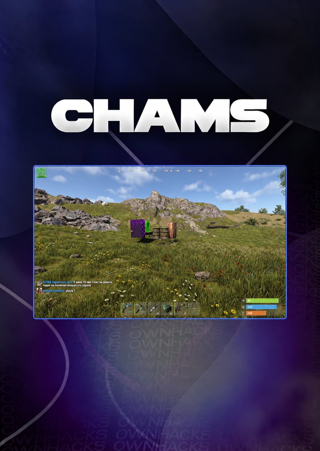 Chams