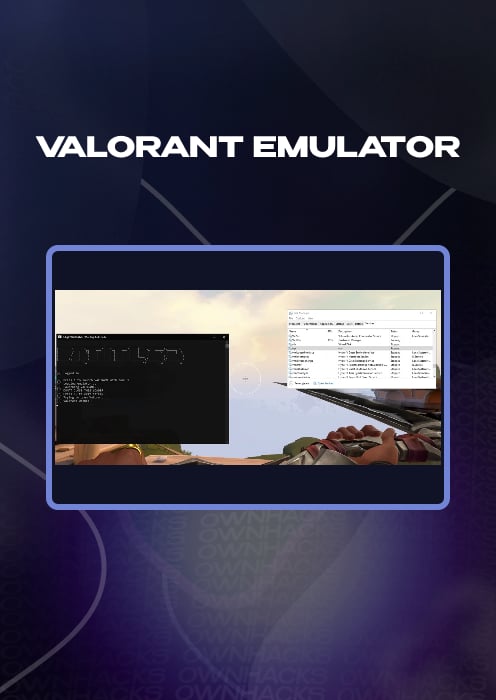 Valorant Emulator